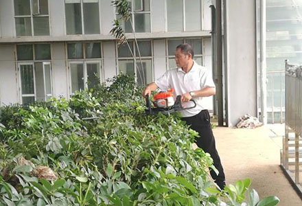 綠化養護服務(wù)